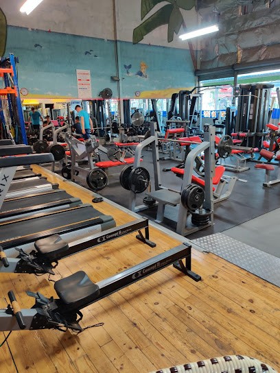 Viva Fitness, Salle de Gym et Fitness à Lunel