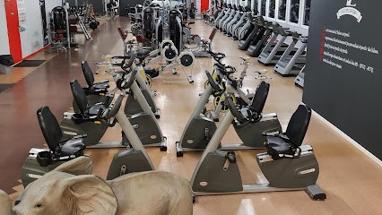 Kev'in Sport, Salle de Gym et Fitness à Neufchâtel-en-Bray