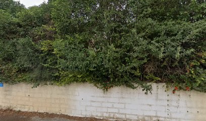 Pilates, Yoga Montpellier, Salle de Gym et Fitness à Saint-Georges-d'Orques