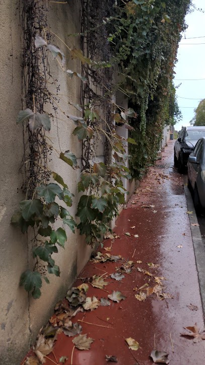 SALLE DE SPORT TRAINING GO COMEDIE JUVENAL LES ATELIERS FITNESS, Salle de Gym et Fitness à Montpellier