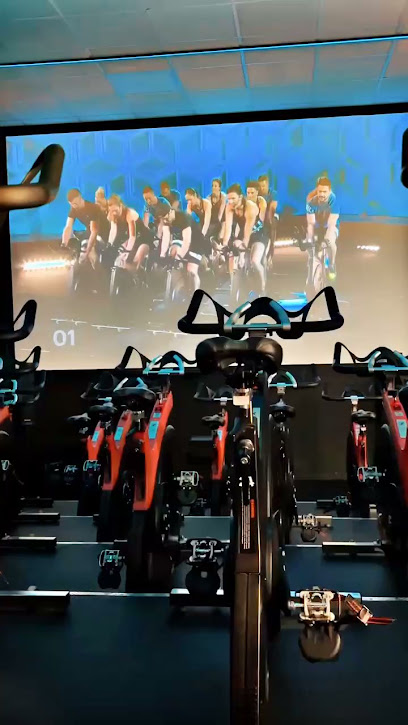 Training Zone Salle De Gym & Fitness à Sedan