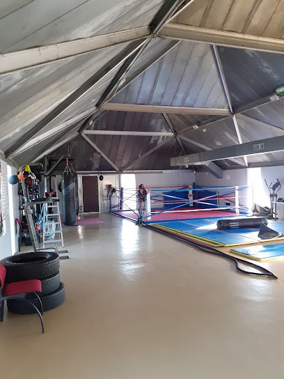 ArtFitBoxing - USPT, Salle de Gym et Fitness à Saint-Geniès-de-Malgoirès