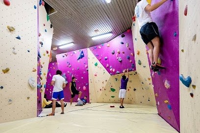 Centre Sportif Du Bois, Salle de Gym et Fitness à Mont-Saint-Aignan
