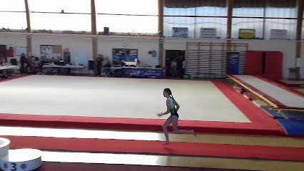 Entente Gymnique Déodatienne, Salle de Gym et Fitness à Saint-Dié-des-Vosges