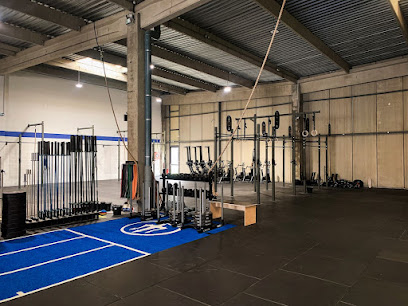 Crossfit Odc - Hyrox Training Club Strasbourg Salle De Gym & Fitness à Lingolsheim