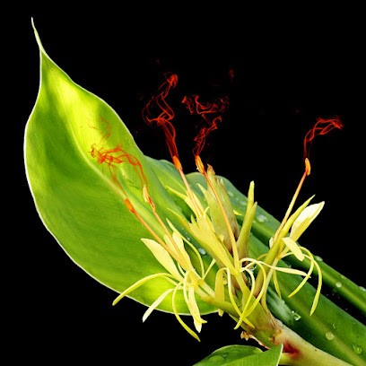mandoci, Salle de Gym et Fitness à Raon-lès-Leau