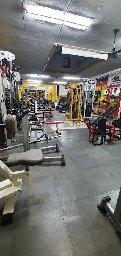 New Institut Longchamp, Salle de Gym et Fitness à Marseille 01