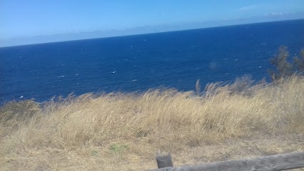 When U Want / Aquaform, Salle de Gym et Fitness à Monticello