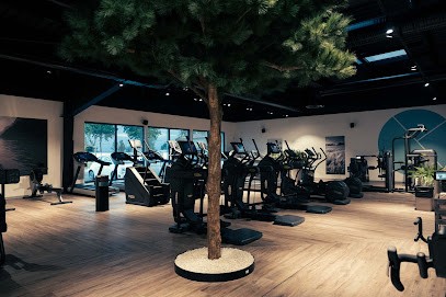 Webody, Salle de Gym et Fitness à Fonsorbes