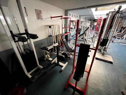 Gym Alpha - Gérard Peyre.et son fils Jérôme, Salle de Gym et Fitness à Saint-Étienne
