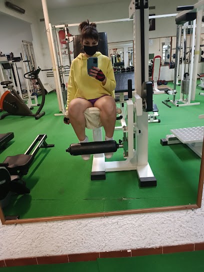 Salle Musculation MJC Puylaurens, Salle de Gym et Fitness à Puylaurens