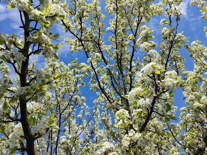 Sonomas : Sonothérapie, Chant, Bien -Etre, Salle de Gym et Fitness à Lamillarié