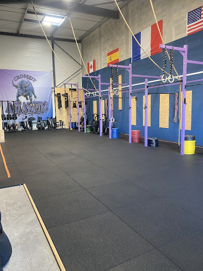 Crossfit Asianum Salle De Gym & Fitness à Aizenay