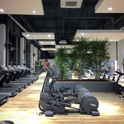 One Fitness Club Roubaix, Salle de Gym et Fitness à Roubaix