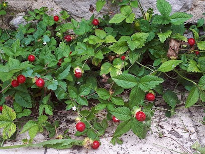 Orange Bleue Room De Sport, Salle de Gym et Fitness à Montargis