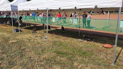 Salle Des Sports, Salle de Gym et Fitness à Saint-Laurent-d'Agny
