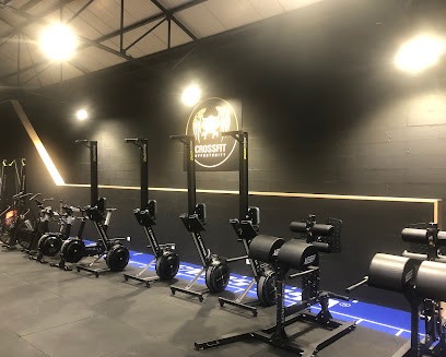 CrossFit Opportunity, Salle de Gym et Fitness à Saint-Nicolas