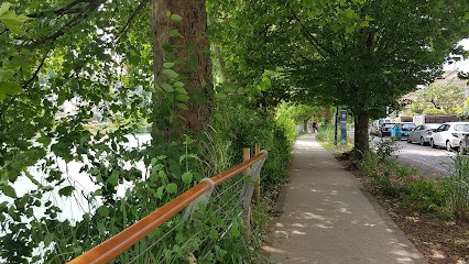 Gymnase Municipal Des Ormes, Salle de Gym et Fitness au Perreux-sur-Marne