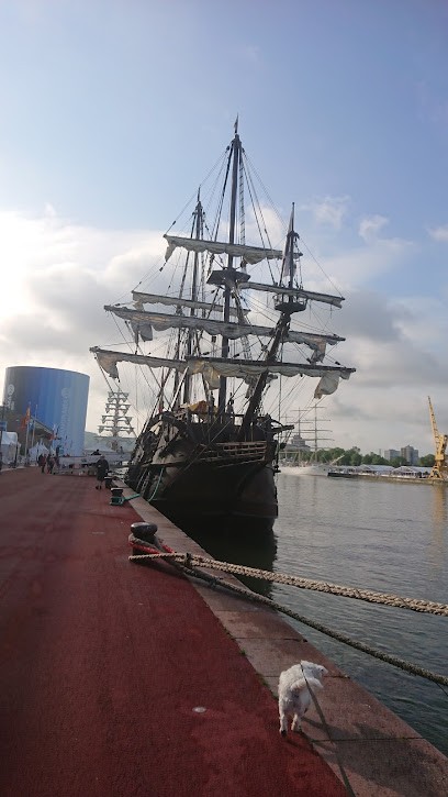 Studio Fitness - Rouen, Salle de Gym et Fitness à Rouen