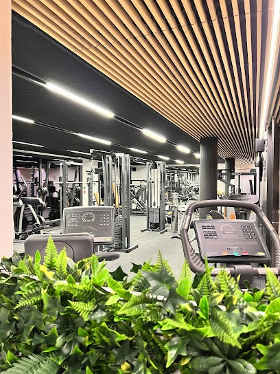 LE SQUAT’66 - Salle De Musculation à Port-Vendres, Salle de Gym et Fitness à Port-Vendres