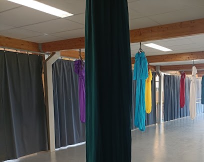 STAGE YOGA FLY YOGA GYM POSTURAL PILATES, Salle de Gym et Fitness au Passage