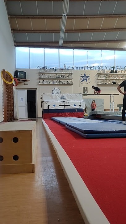 Etoile Bleue Sportive, Salle de Gym et Fitness à Saint-Junien