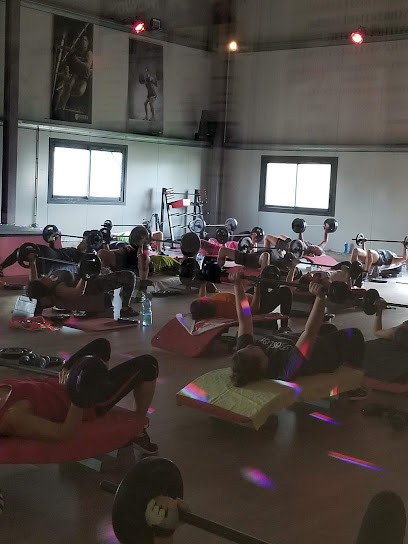 Movida Club Sports and Fitness - Albi, Salle de Gym et Fitness au Sequestre