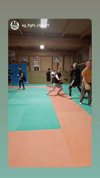 Ag Fight Club Mma, Salle De Gym & Fitness à Brienon-sur-Armançon