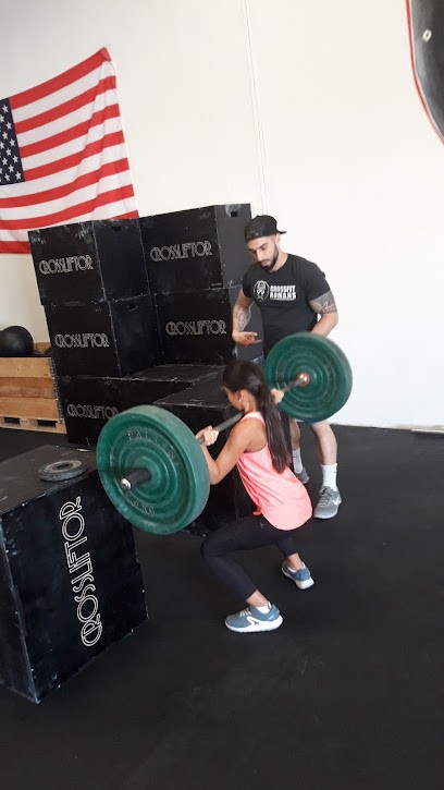 CrossFit Romans, Salle de Gym et Fitness à Romans-sur-Isère